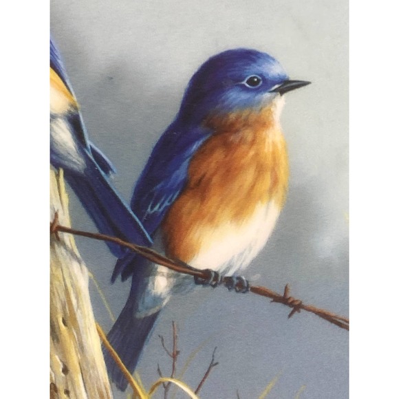 Bluebird Round Plastic Cutting Board  James Hautman Wall Hanging Cheese Platter - Picture 5 of 8